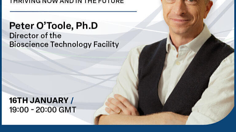This is the era for technical specialists - how specialists are leading and thriving now and in the future
